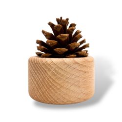 Aromaholzdiffusor Kiefernzapfen